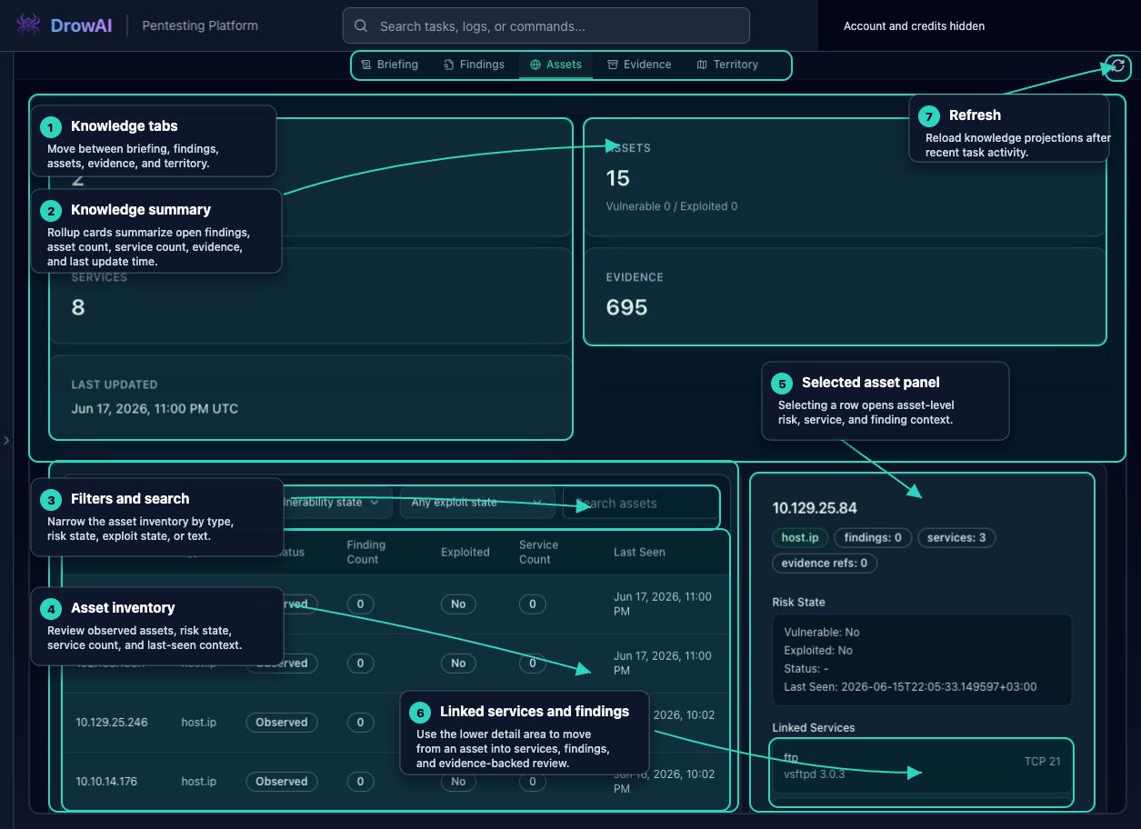 Annotated DrowAI Assets workspace