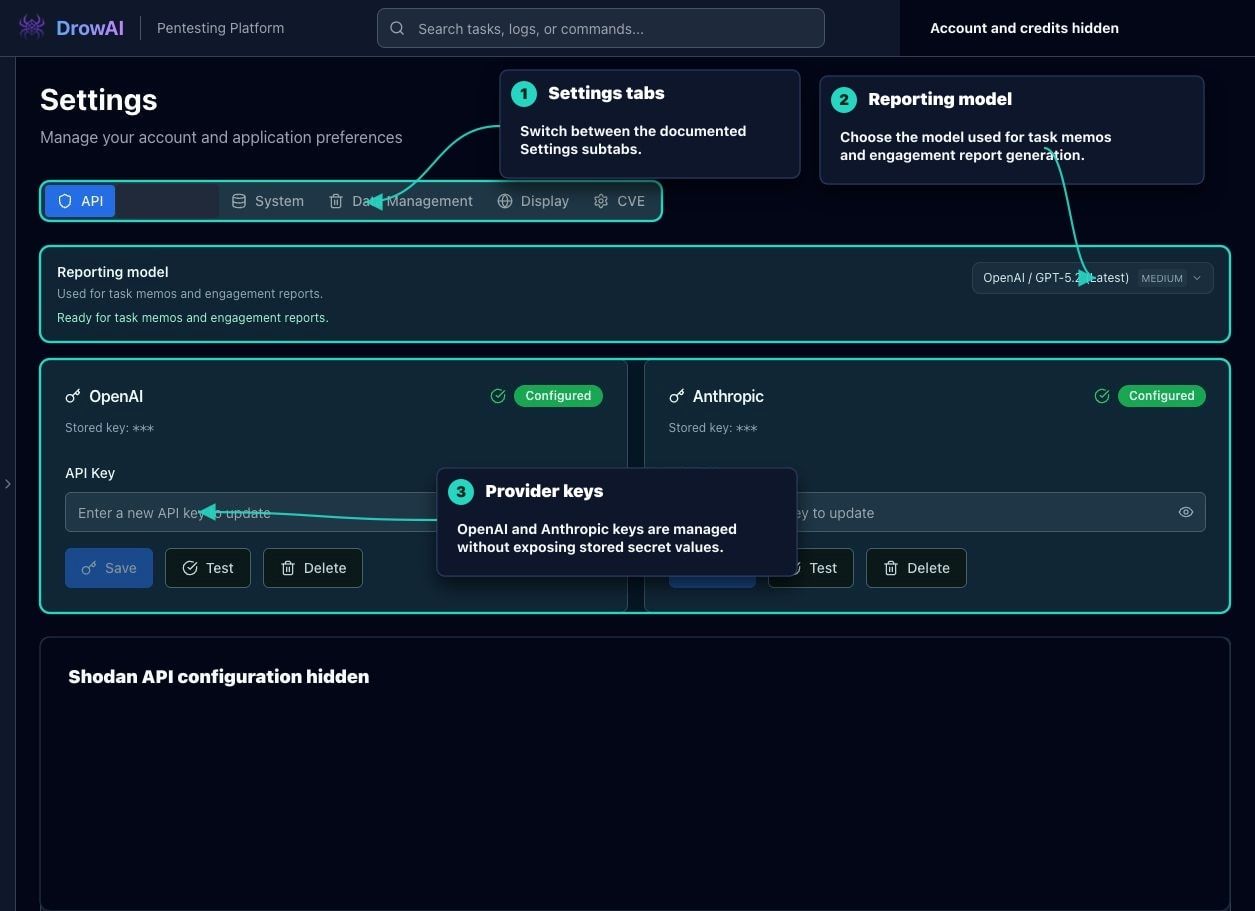 Annotated DrowAI Settings API subtab